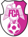 FC Arges Pitesti U19 (- 2013)
