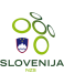 Словения Ю21