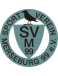 SV Merseburg 99