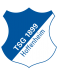 TSG 1899 Hoffenheim Jugend