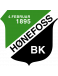 Hønefoss BK Formation