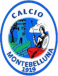 Calcio Montebelluna 1909