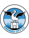 Swansea City Giovanili