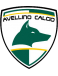Avellino Calcio SSD