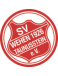 SV Wehen Wiesbaden U17