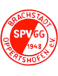 SpVgg Brachstadt