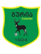 FC Guria Lanchkhuti II