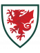 Wales Onder 21