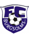 FC Burgsolms Formation
