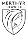 FC Merthyr Town Development