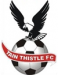 Tain Thistle FC
