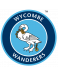 Wycombe Wanderers Formation