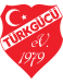 SV Türk Gücü Hildesheim