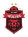 Wollongong Wolves U19