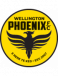 Wellington Phoenix Youth