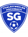 SV Thalexweiler U19