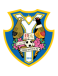 Yongin City FC (-2016)