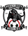 Ipswich City FC