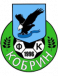 FK Atlant Kobrin