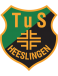 TuS 1906 Heeslingen Youth (diss.) (- 2013)