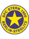 SFC Stern 1900 II