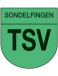  TSV Sondelfingen Altyapı