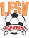 1.FSV Schwerin U19