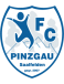 FC Pinzgau Saalfelden Altyapı