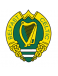 Belfast Celtic FC (- 1949)