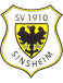 SV Sinsheim Altyapı