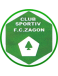 FC Zagon (- 2016)