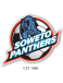 Soweto Panthers FC