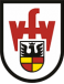 VfV Borussia 06 Hildesheim Youth