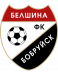Belshina Bobruisk U19