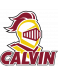 Calvin Knights (Calvin University)