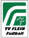 TV Flein Jugend