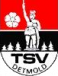 TSV Detmold