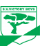 SV Victory Boys