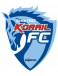 Incheon Korail FC