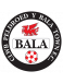 Bala Town FC Development Team