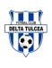 FC Delta Dobrogea