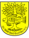 SV Bad Buchau