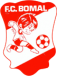 RFC Bomal