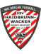 ESV Haidbrunn-Wacker Wiener Neustadt Jugend