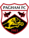 FC Pagham