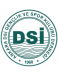 Ankara DSI Spor