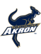 Akron Zips (University of Akron)