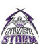 ASA Miami Silver Storm