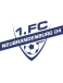 1.FC Neubrandenburg 04 Formation