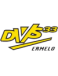 DVS '33 Ermelo 2